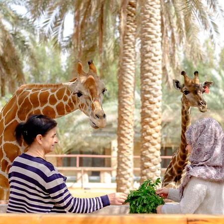 Emirates Park Resort-3